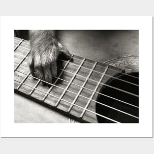 Guitarist Monkey Musician Posters and Art